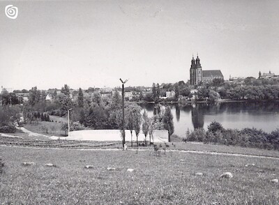 Fotografia, Gniezno, XIX-XX w.