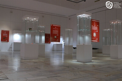Fot. D. Pietraszewski, MPPP