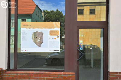 Fot. Marcelina Chrzanowska, MPPP