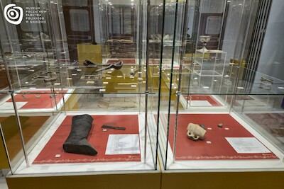 Fot. Estera Burzańska, MPPP